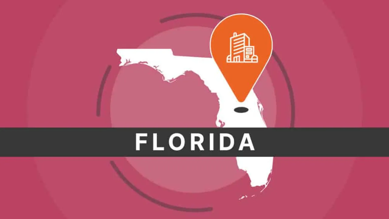 Florida Llc Operating Agreement - LLC in Florida