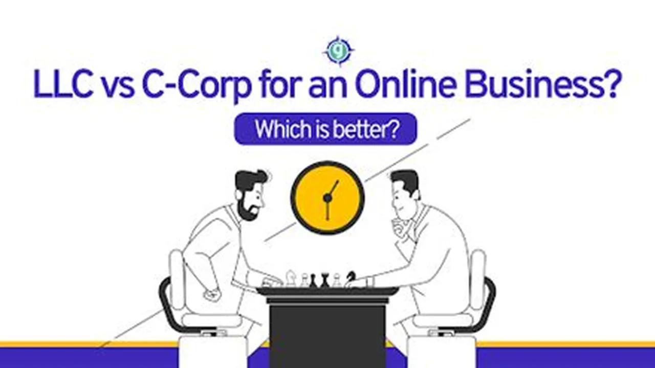 High Ticket Software - LLC vs. C-Corp