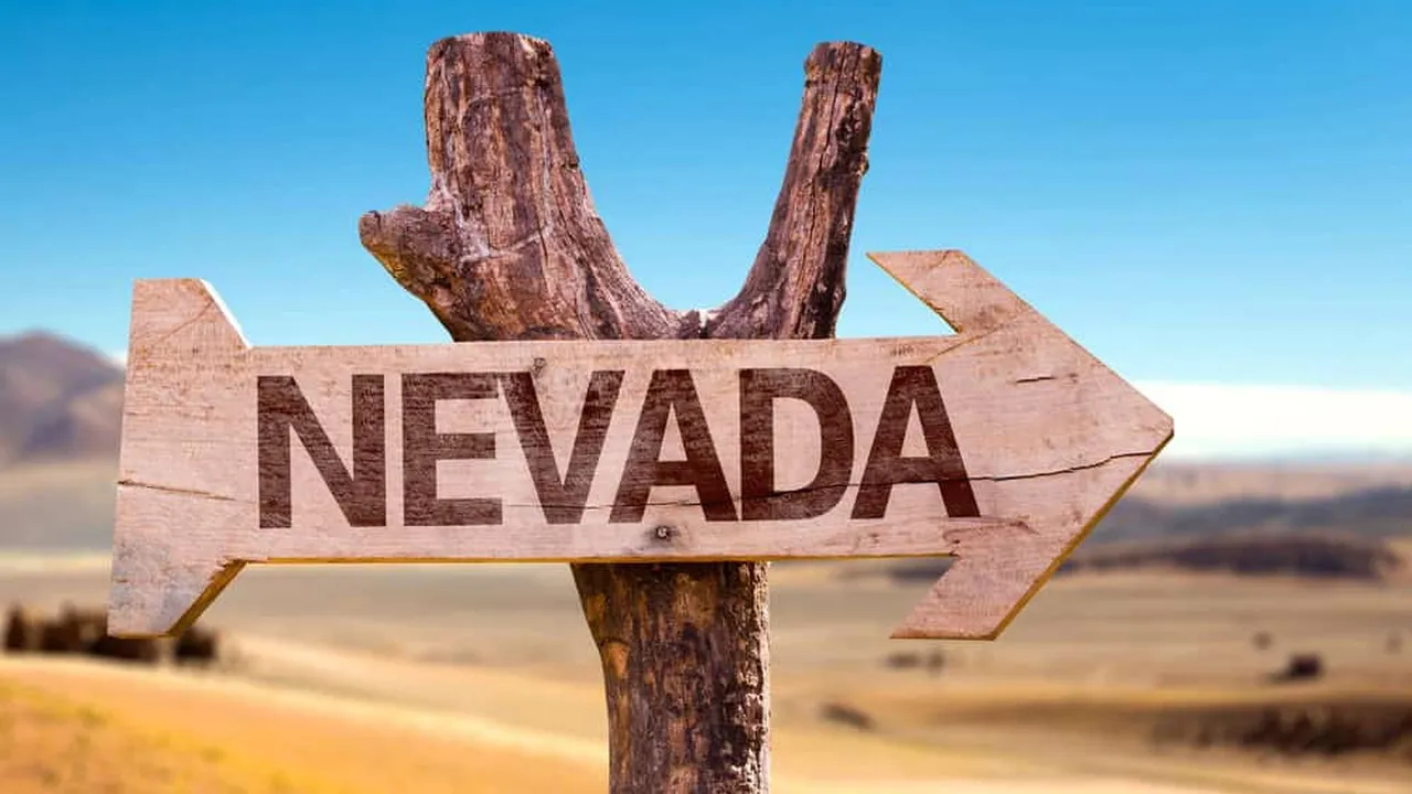 Nevada Llc Formation - Nevada Llc