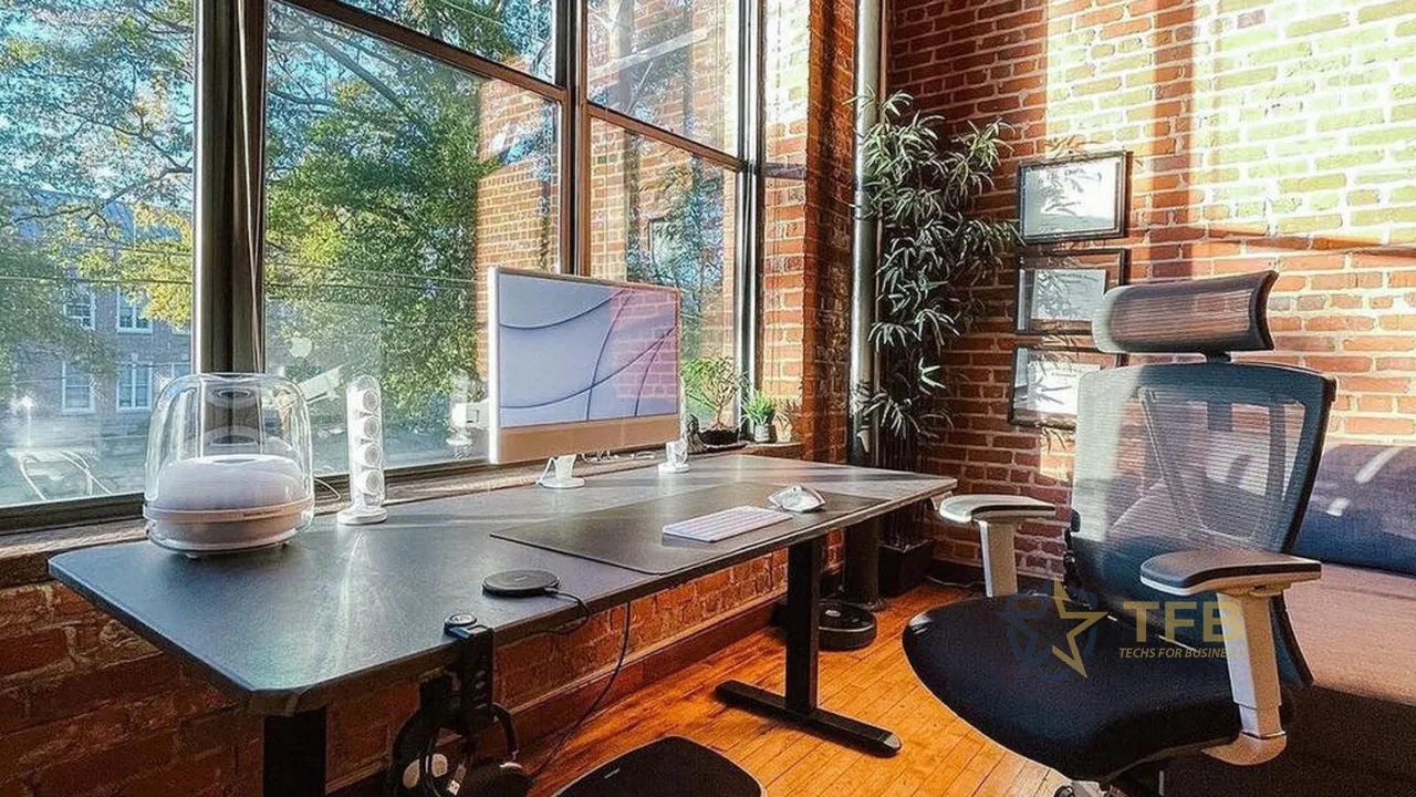 Lumbar Support Cushion - Office Setup